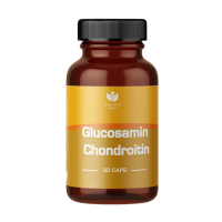Glucosamin + Chondroitin